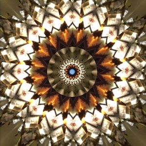 Meet your Posher, Joy